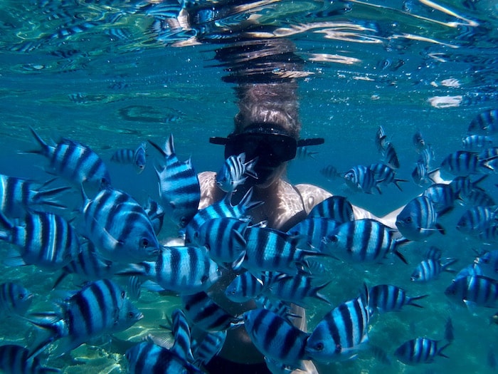 Fiji snorkelling