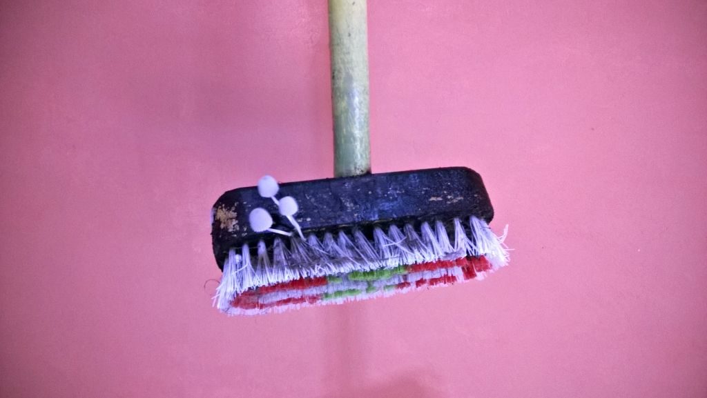 During-rainy-season-mushrooms-grows-on-brooms-lifeinbigtent.com